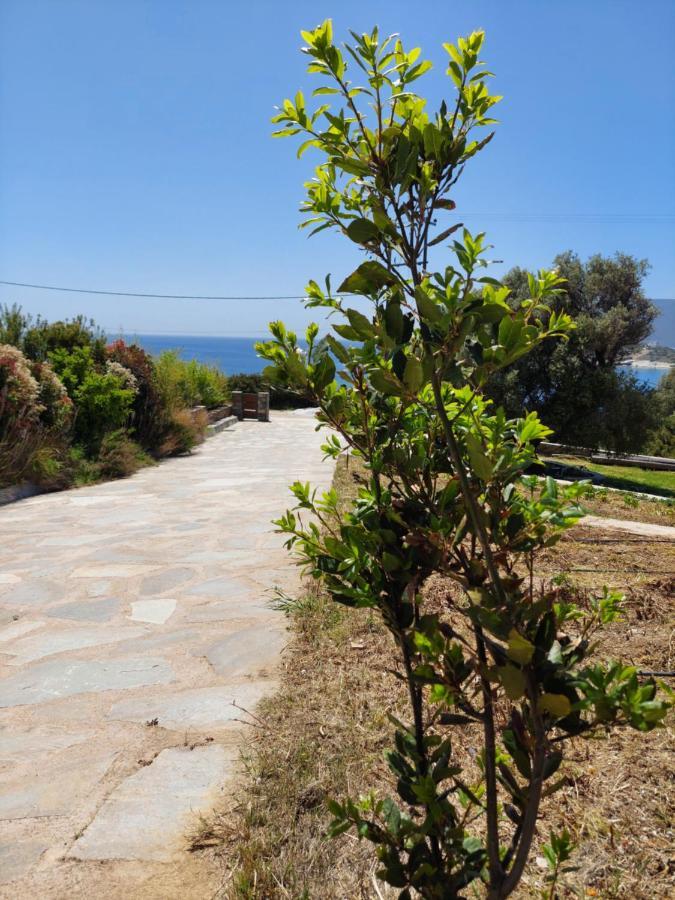 Skinammos Eco Marmari (Evia)